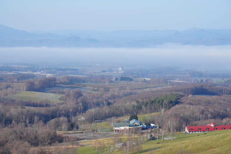 【新着】美しいエネルギーで、若者と地域をそっとつなぐWEBメディアへ。―ナカソラチマガジンMVV紹介